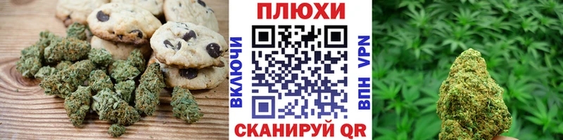 маркетплейс наркотические препараты  Шуя  Печенье с ТГК марихуана 