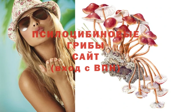 героин Новозыбков