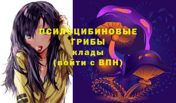 не бодяженный Нефтегорск