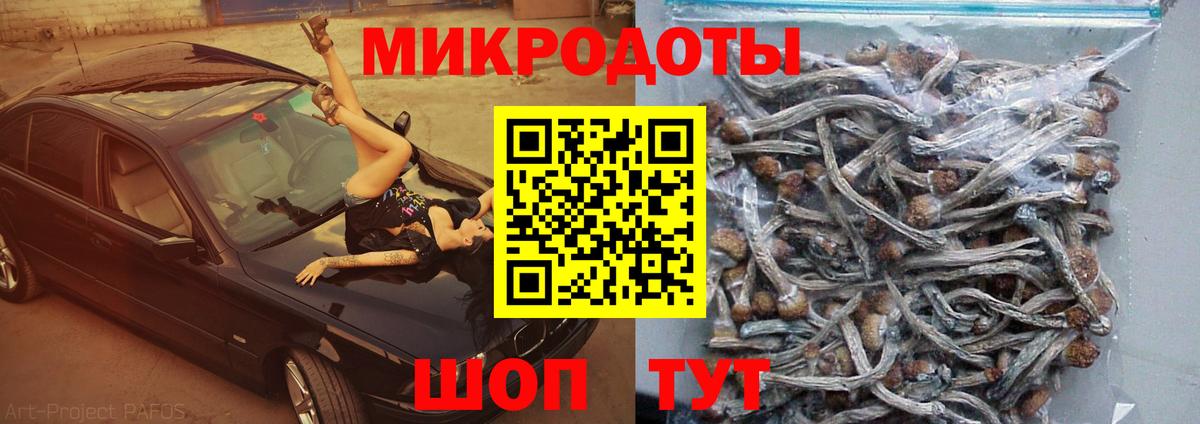 Псилоцибиновые грибы MAGIC MUSHROOMS Шуя