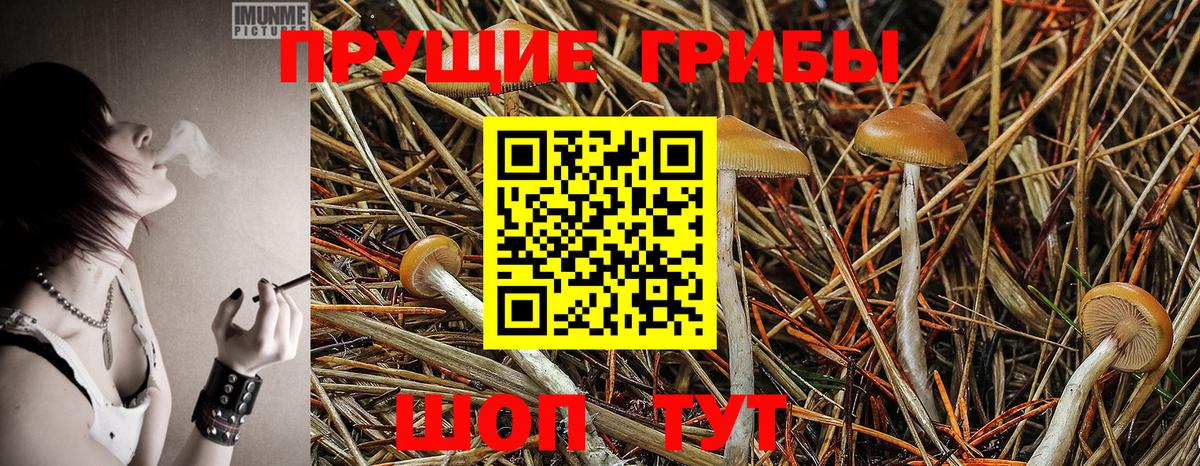 Галлюциногенные грибы MAGIC MUSHROOMS  Вход с VPN  Псилоцибиновые грибы ЛСД  Шуя 