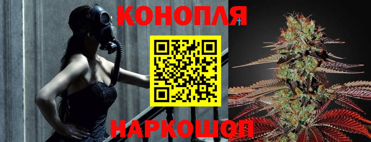 Бошки марихуана VHQ  Шуя  Марихуана план 